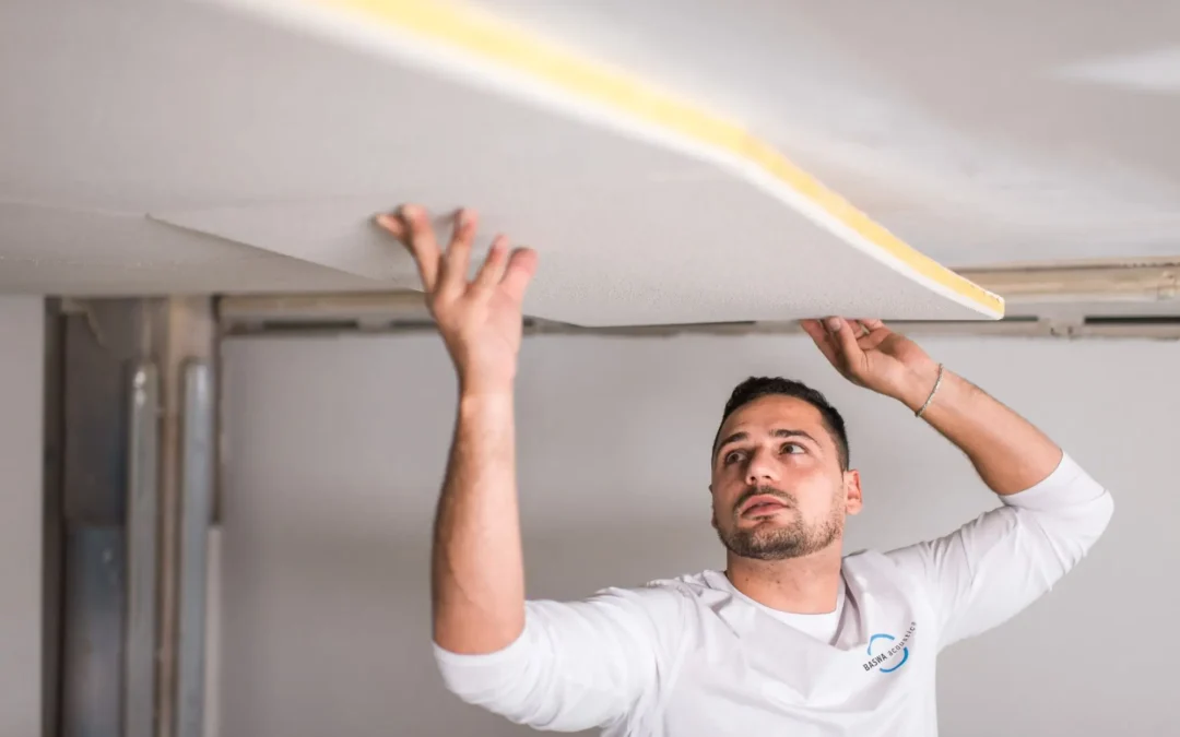 Sound Matters: How Acoustical Plaster Elevates Office Build-Outs